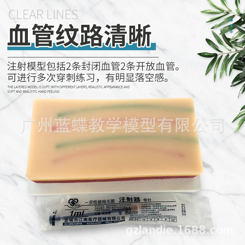 �๦��Ƥ������ע����ϰģ�� Ƥ��Ѫ�ܶ�����Һ ���⴩��ѵ��ģ��