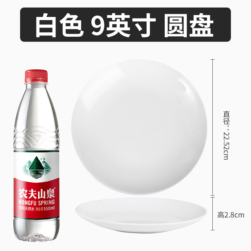 9 인치 도자기 화이트 디스크