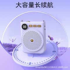 新型携帯小蜂ブルートゥーススクリーン顕拡声器先生教育ガイドの叫び器カードuディスクプレーヤー
