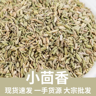 ���CС����������500�����ϼ���ɢ�b�����{�ϸ�؛�o��Ѭ���l���l