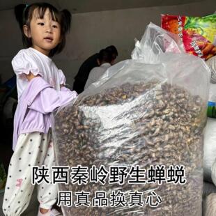 ����؎XҰ���s͑500g���sÓ�s͑���s���s���sƤ�s���x��֪�˚�Ƥ