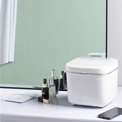 Car Refrigerator Car Home Cosmetics Mask Dedicated Smart Refrigerator Mini Small Refrigerator Factory Wholesale