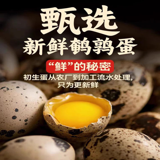 Salt-baked quail eggs ready-to-eat spiced marinated eggs 500g appetizing marinated snacks snacks snack food wholesale