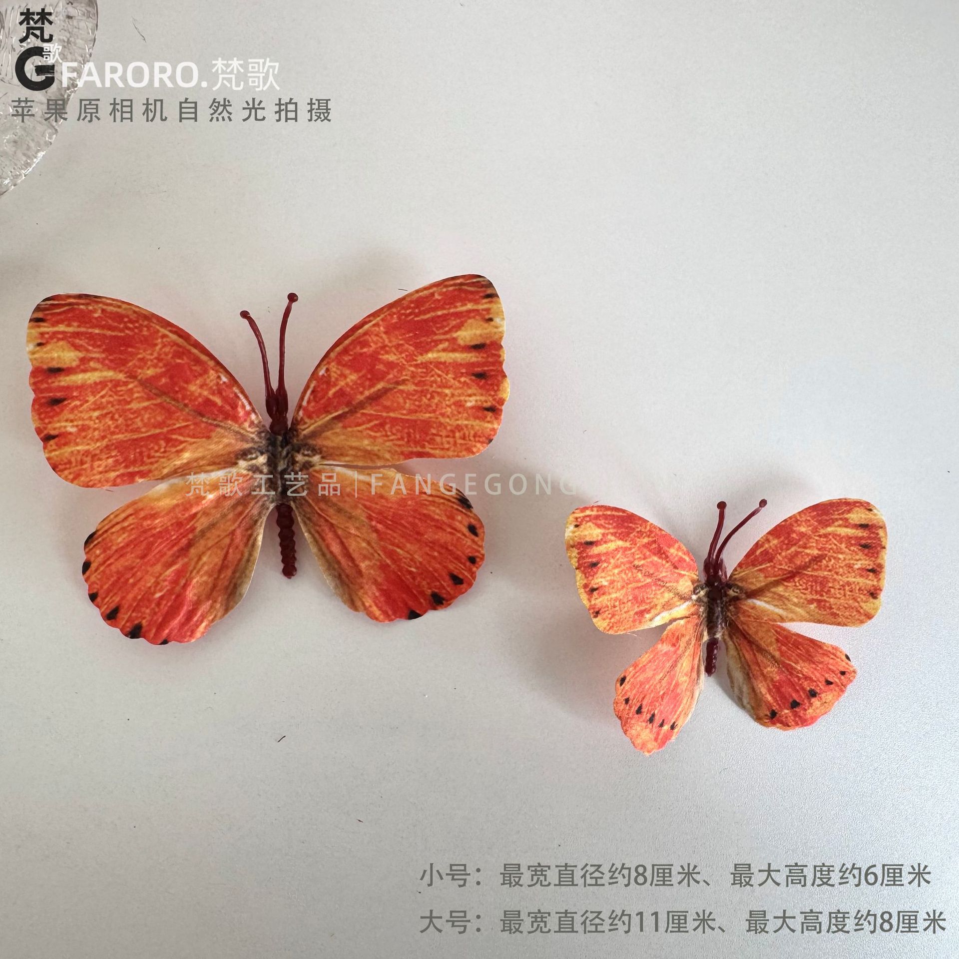 오렌지 1 S사이즈(1팩 10개)