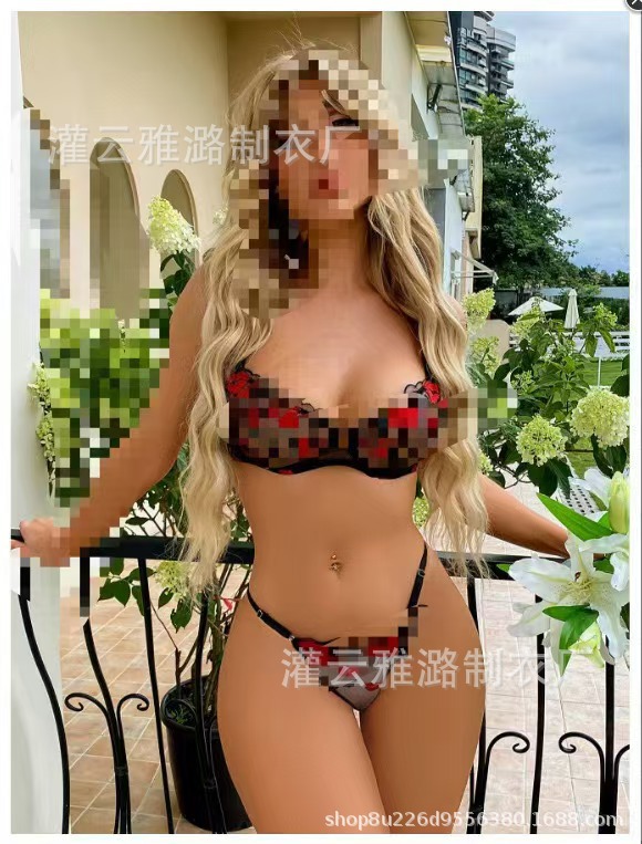 Aiyang amazon delgada ropa interior europea y americana fábrica de bordado de comercio exterior venta directa de tamaño de encaje impresión labial