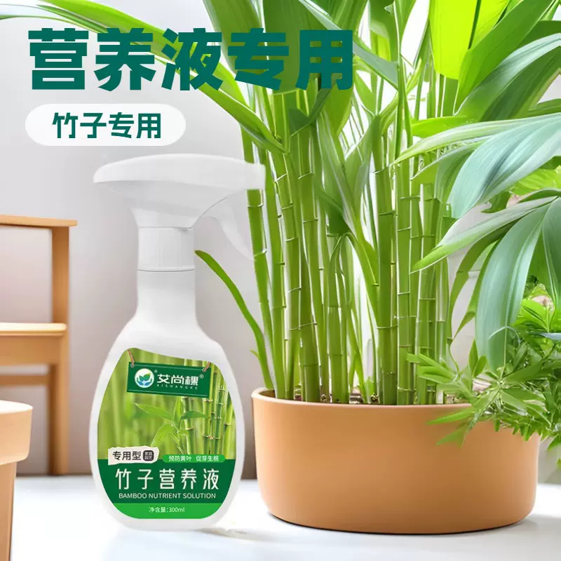 艾尚棵竹子营养液水培文竹富贵竹红观音南天竹植物竹子专用