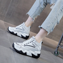 ����������2025�＾�¿����l��׃�����ŮЬ���e�\��͸��ٴ�WЬ