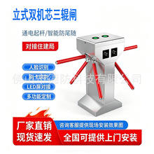 双机芯立式三辊闸工地实名制人行通道闸机学校景区人脸识别检票闸