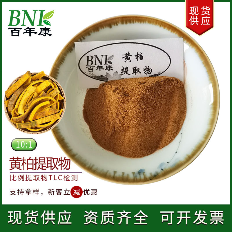 水提10:1黄柏比例提取物粉黄柏树皮萃取原料粉现货水溶黄柏提取物