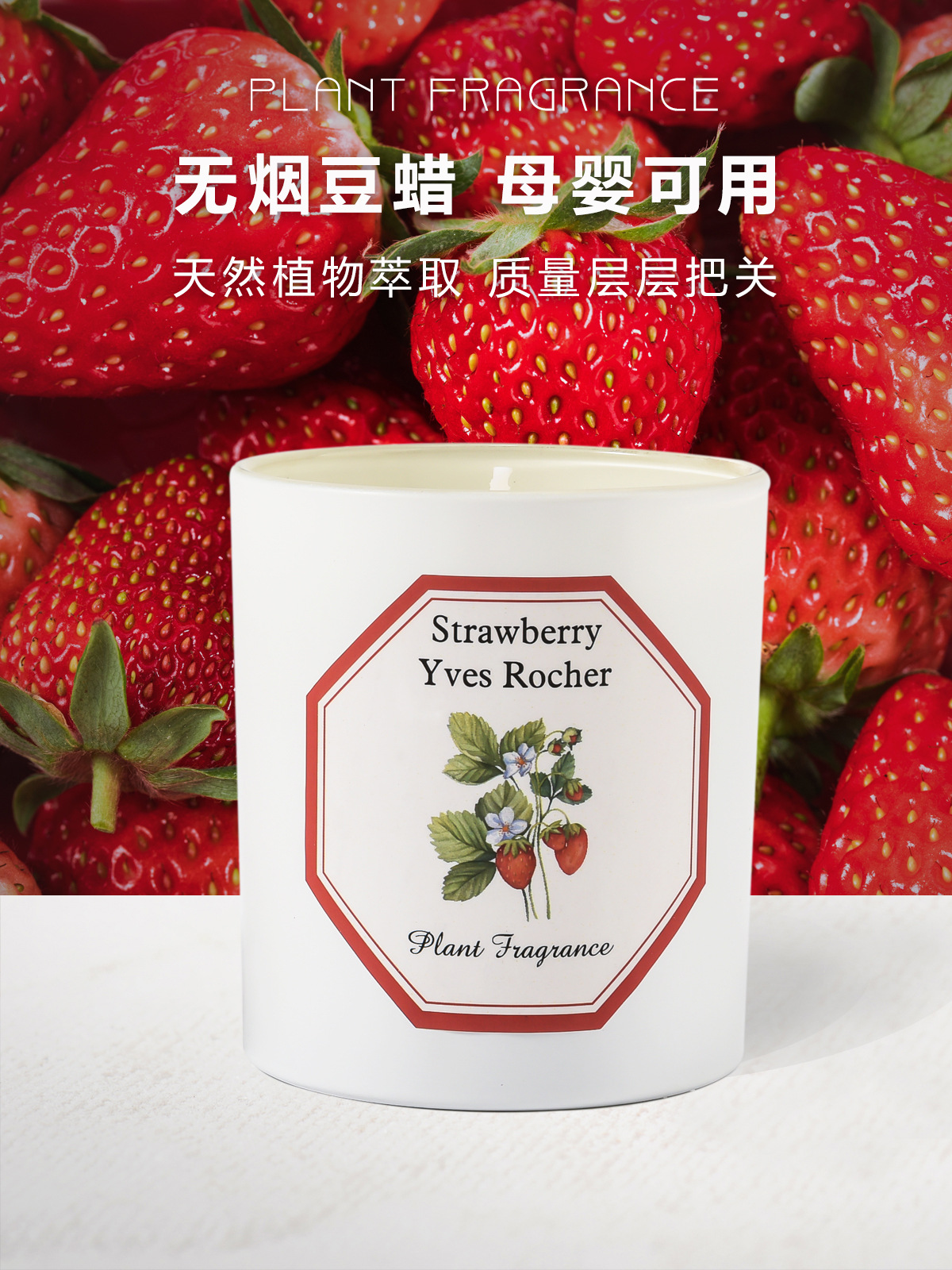 植物学家蜡烛_10