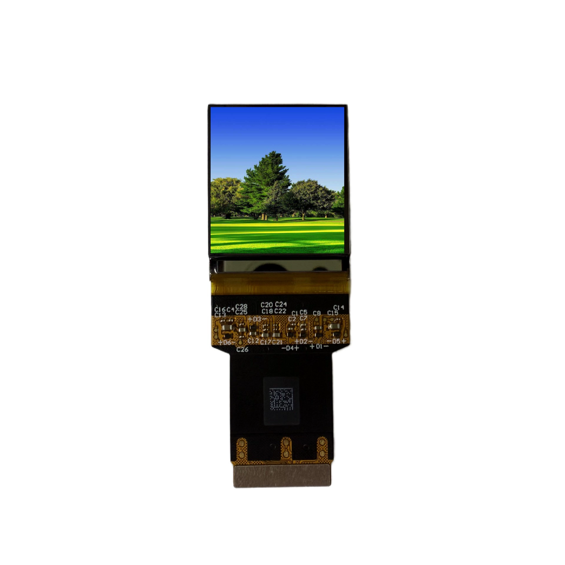 1.35 inch 3552*3840 display OLED16.7Mcolor