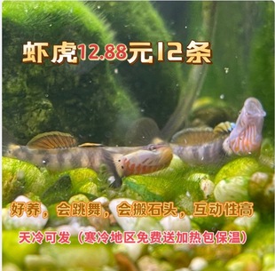 ԭ����ˮ�^�p�~���Ӝص�ˮС���~���B�ͻ��S��Ϫ�ǰ��������r���~