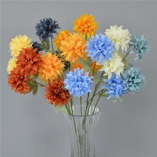 3�^ˮ�����֦�Ƶ��d�Y��Y�ò��þW�t���c�廨���͈@ˇ���^��