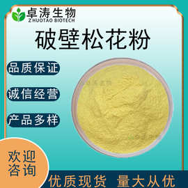 大货批发破壁松花粉 马尾松松花粉 批发 头道新粉 现货 量大优惠