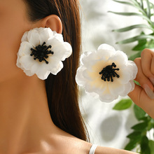 ZA���Ų��ջ���������ݸ߼��ж�׹Ůŷ���¿����ʶ�����Ƹ�С��
