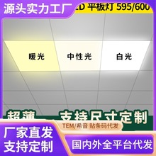 Թůƽɵ600x600ledƽ60x60ledȻʯ