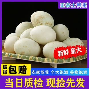 ����ɢ�B�������������r�Һ��^���r�F�챿�������������r�r�����l