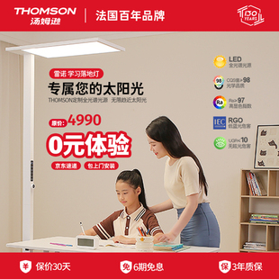 Уличный фонарь Thomson Renault, детский студенческий стол, напольная лампа для защиты глаз для обучения игре на фортепиано и чтения