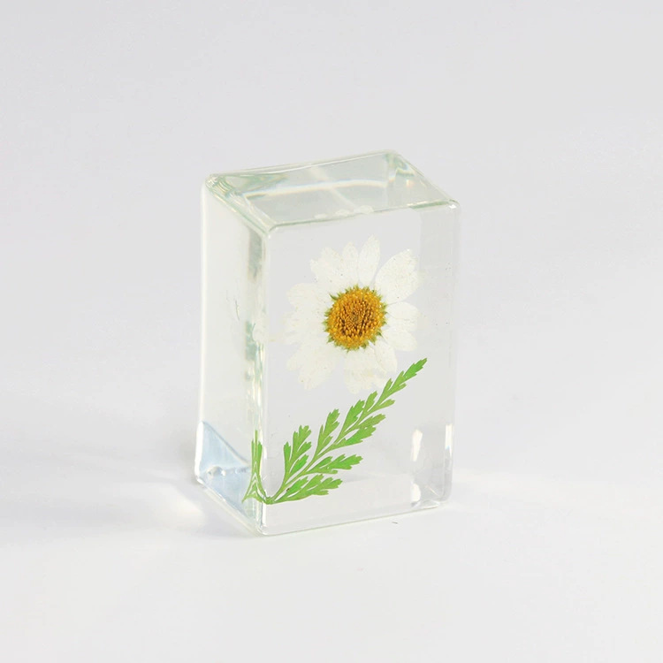 흰색 해바라기 (6개부터 경매 시작)