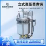 商用立式蒸煮高温蒸煮锅