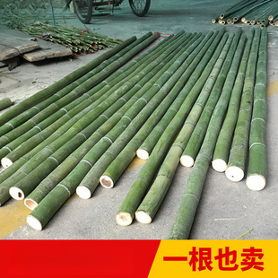 �b��b���b�޴ּ�������������U�G��͸����҃ȑ�����Ͳ������