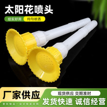 ̫ꖻ^rˮÝ˞ˮ@ֈ@ˇȴ翹OӋ