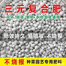 ЙCصNԻ⛷ʏͺϷʻʼͨ͹߷N