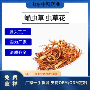 Ӽ�x�� �x�ݻ� �����x�Ĳ� ���l �x���x��Ƭ �S�ҹ������l����