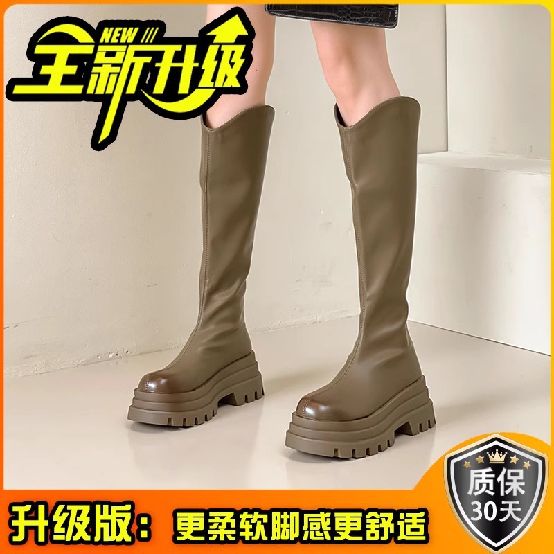 업그레이드 버전 회색 녹색