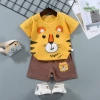 F11-Big Face Tiger