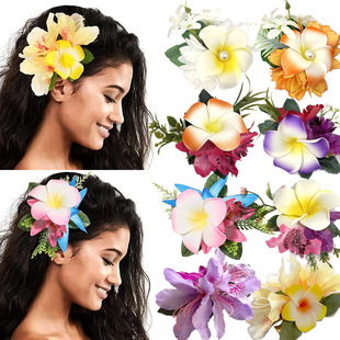 �������u�����l�A���幝�����������߅�AŮɳ���ȼ����հl����