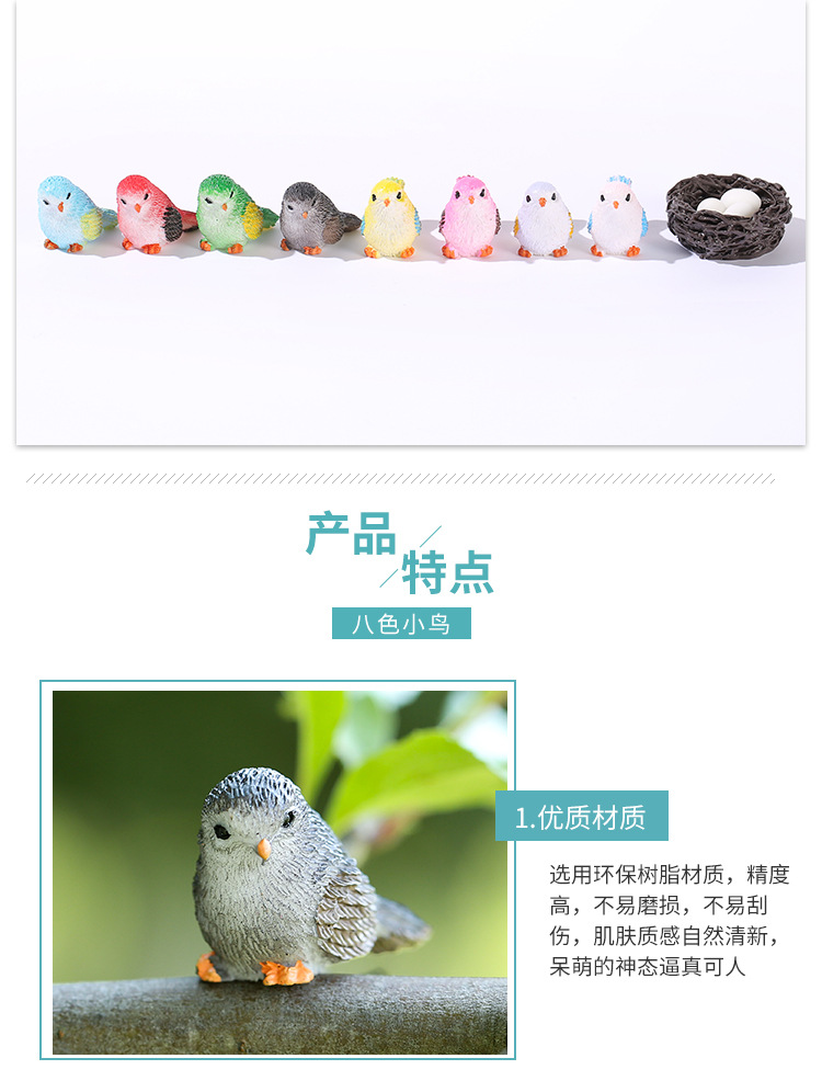 八色小鸟_06