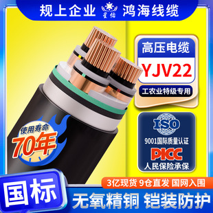 �������|���˼��~���z�yZR-YJV3*300 26/35kv �߉������|��