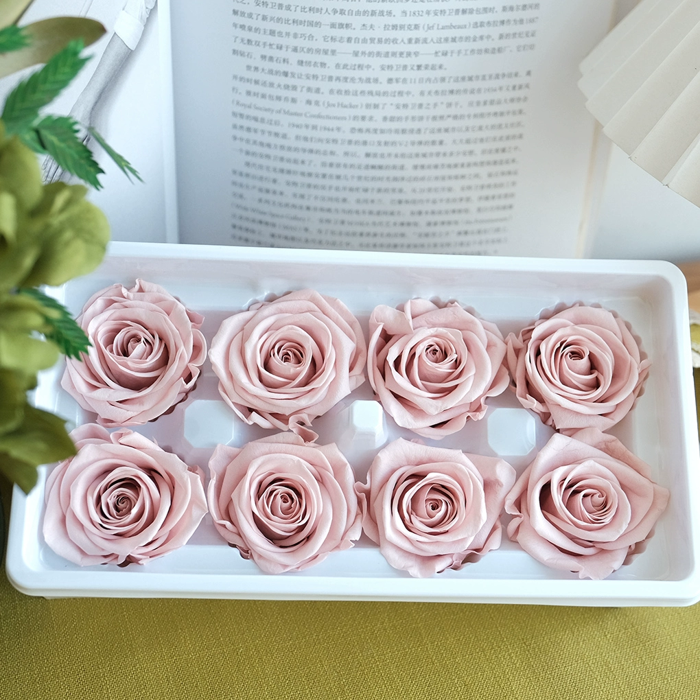 Eternal Rose head A -Class/B -Class Cabca Shengsheng Flower Handmade DIY Teacher's Day Gift Materials