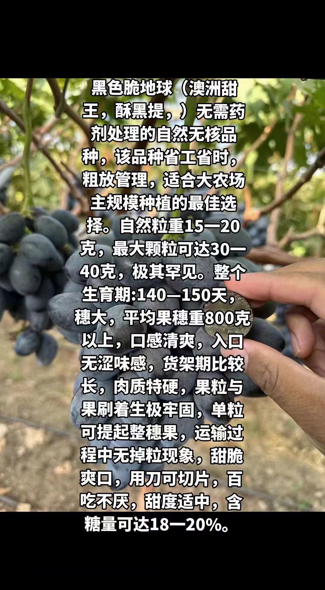 微信图片_20240804200741