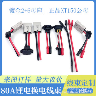 �����僽�2+6ĸ��Ʒ���D�Ӱ���ɭ���^����80A���~˹XT150��ĸ�^