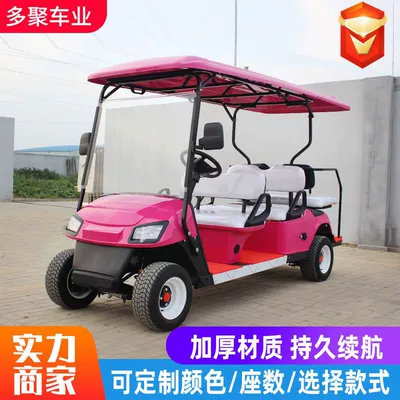 Dewu Junheng Electric Sightseeing Elektrikli qolf avtomobilləri