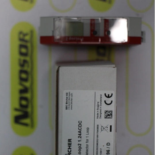BIRCHER 继电器proloop2 1.24ACDC  262596/D PROLOOP先咨询再订