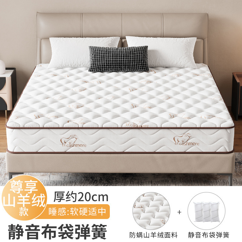 席梦思海弹簧马床垫厚20cm出租房软垫家用卧室15cm护脊硬垫子|undefined