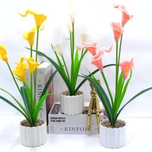 假花盆栽马蹄莲仿真花郁金香摆件装饰5头pU拂朗菊盆景5头pU罂粟花