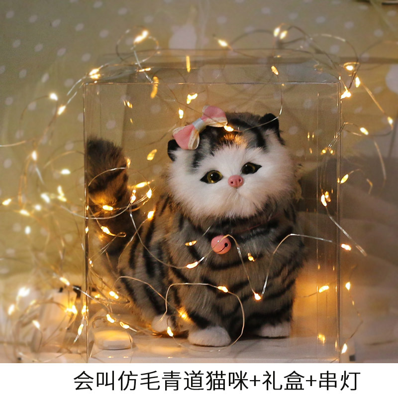 램프가있는 모조 머리 파란색과 흰색 앵커 투명 선물 상자