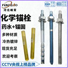 化学锚栓碳钢镀锌锚固剂M12-M30厂家直供高强锚固