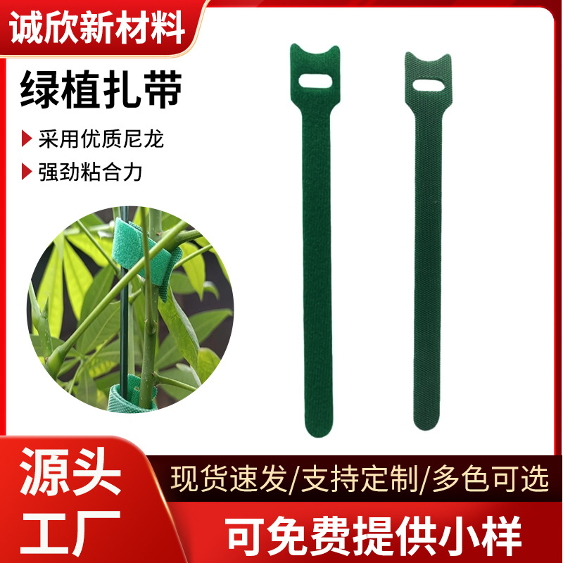 园林绿色植物扎带自粘园艺魔术贴捆扎带尼龙爬藤绿植定型捆绑带