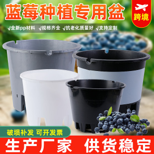 �{ݮ��pp���ϻ������l�Ӻ�A�οظ���Gֲ���ܴ�̖͸��A�λ���