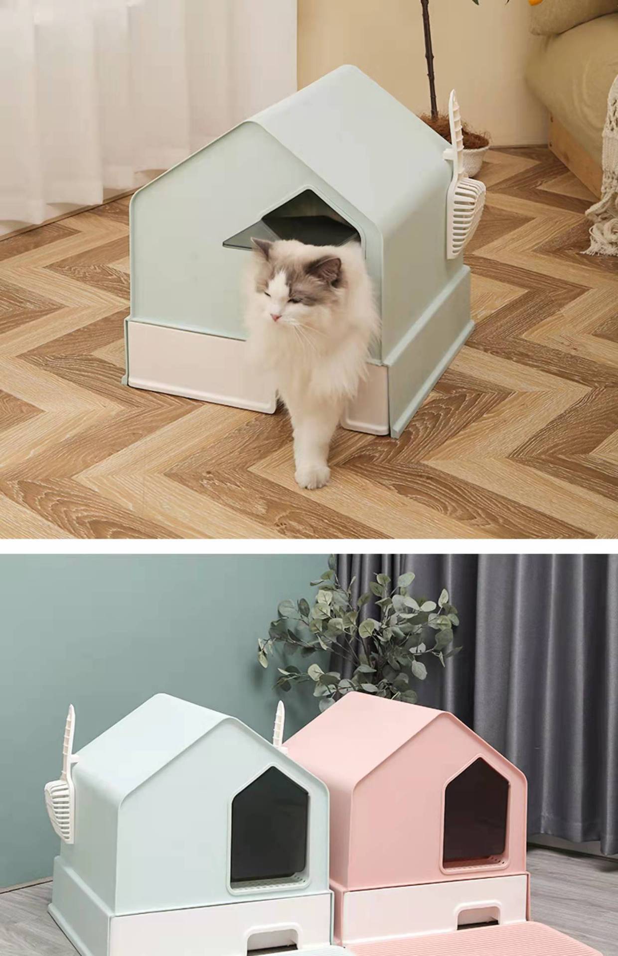 图片_2022012108440510