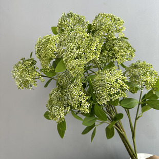 ����ˌ����ٻ����z�׹������ϾGֲ�͏d��Y�b�ܛ�b�廨������