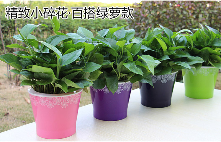 �黨��������ҳ_01