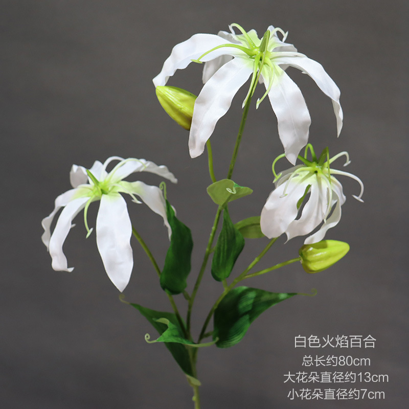 Una rama de lirio de llama blanca