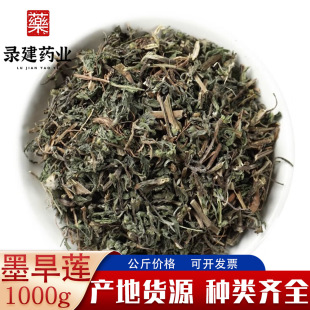 ��ș�ĺ�ɏ��1000�� ī��ɏ ������؛�ɴ���Ůؑ��䛽�ș�I�в�ș