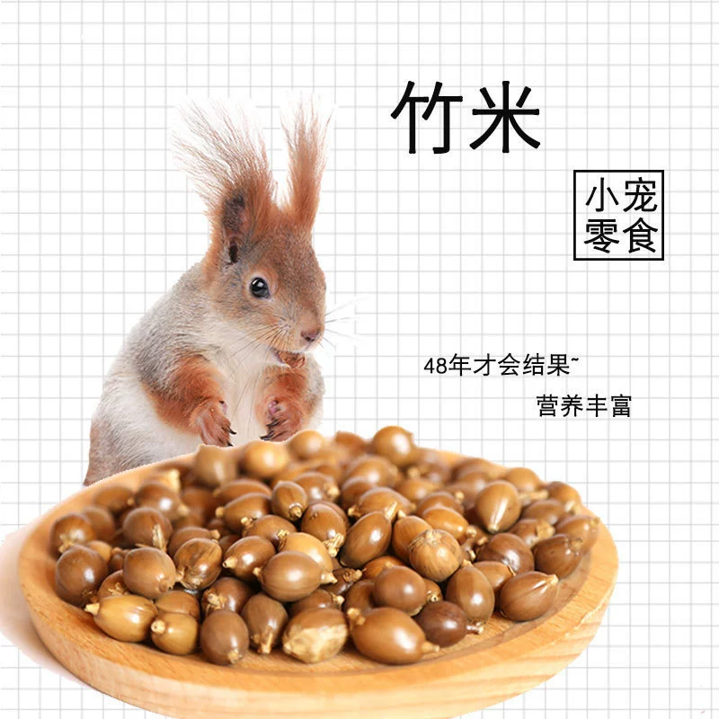 Маленькие закуски из бамбука, бамбука, бамбука, белка, летяга, хомяка, цветочные палочки, основные продукты питания, пища Интерактивное питание